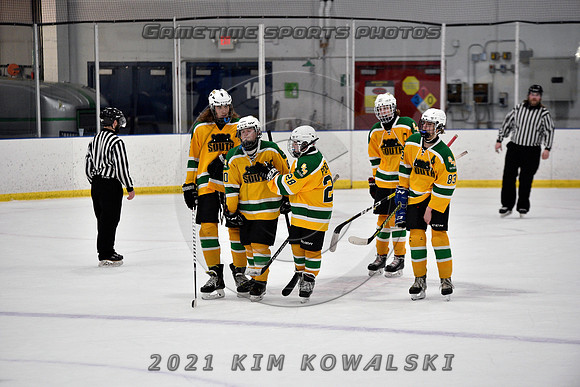 _GSP0966 (Copy)