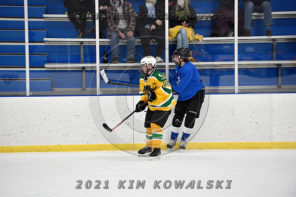 _GSP0972 (Copy)