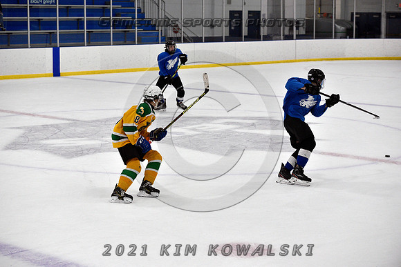 _GSP0973 (Copy)