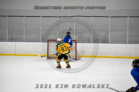 _GSP0974 (Copy)