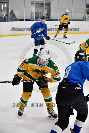 _GSP0999 (Copy)