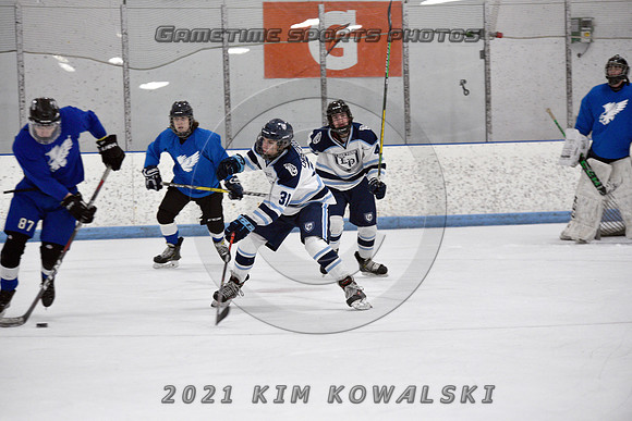 _GSP2081 (Copy)