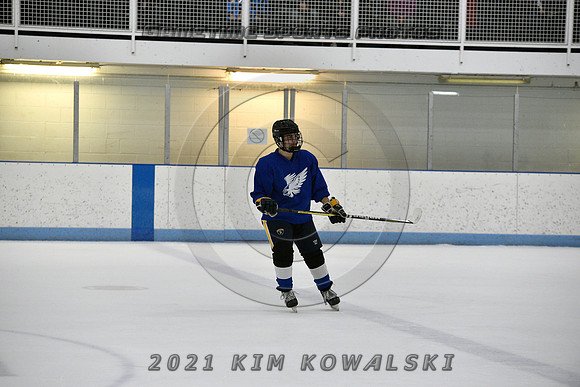_GSP2093 (Copy)
