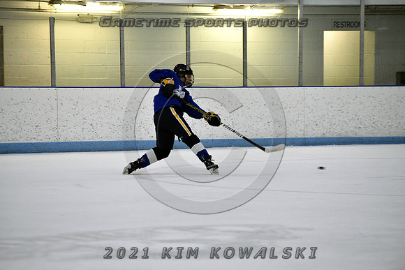 _GSP2127 (Copy)