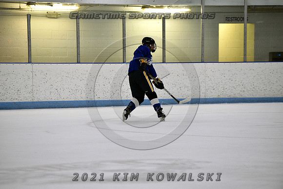 _GSP2128 (Copy)
