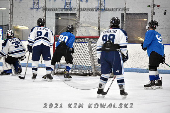 _GSP2129 (Copy)