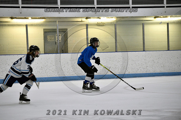 _GSP2137 (Copy)