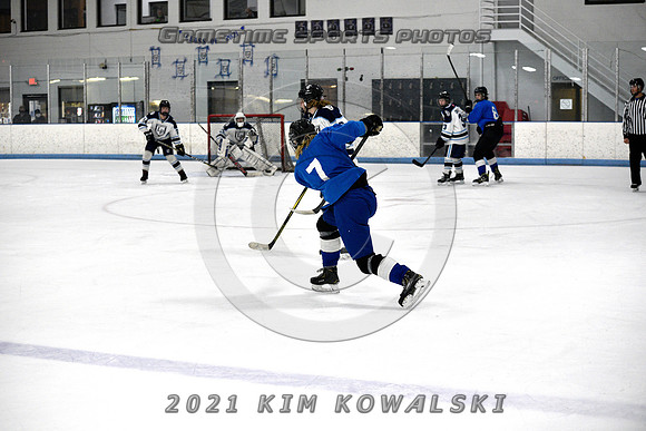 _GSP2156 (Copy)