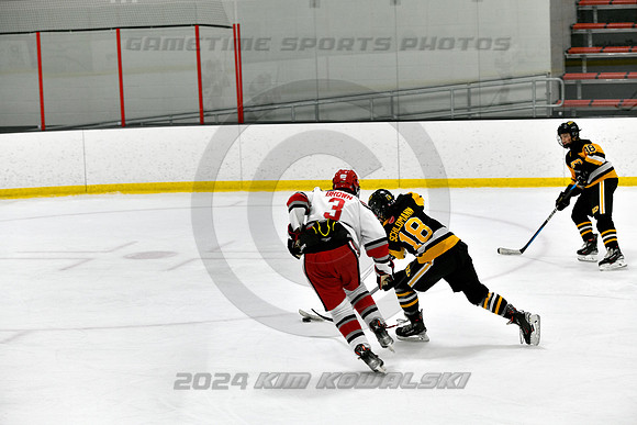 _KK81455 (Copy)
