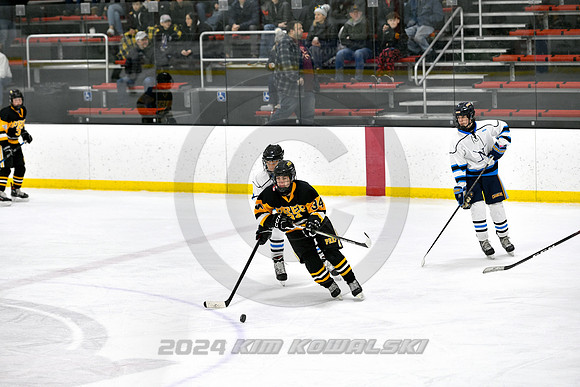 _KK86633 (Copy)