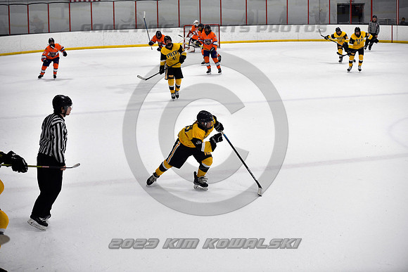 _KK87919