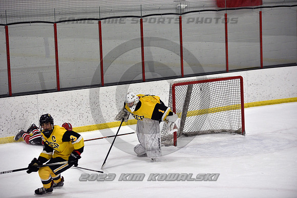 _GSP7113 (Copy)
