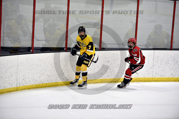 _GSP6938 (Copy)