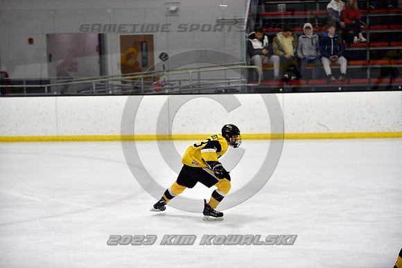 _GSP6444 (Copy)