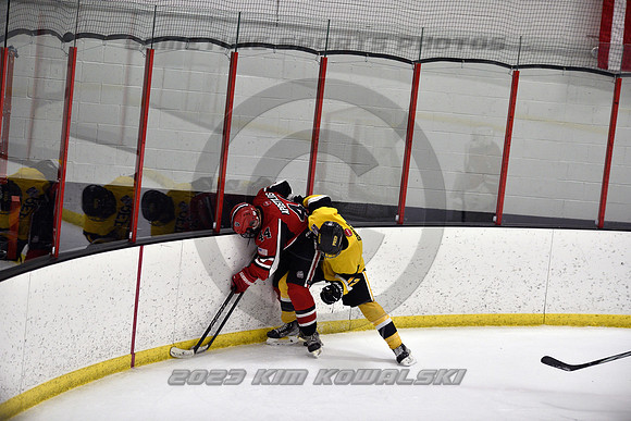 _GSP6947 (Copy)