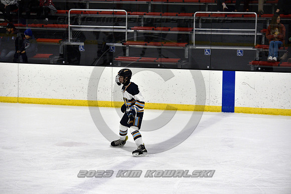 _GSP5768 (Copy)