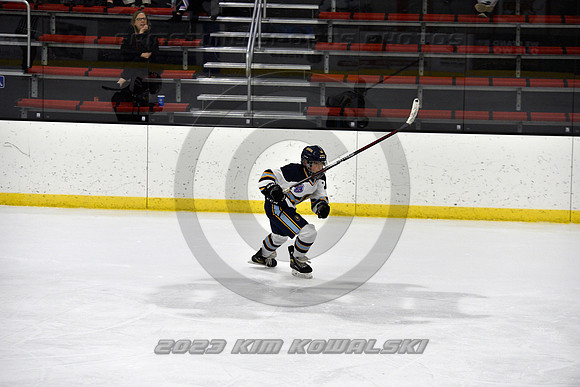 _GSP5955 (Copy)