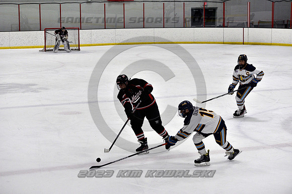 _GSP5916 (Copy)