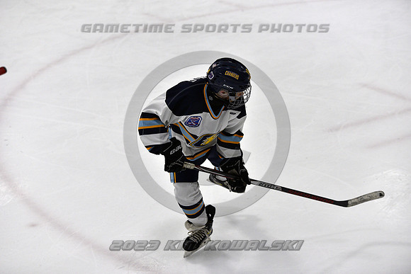 _GSP5733 (Copy)