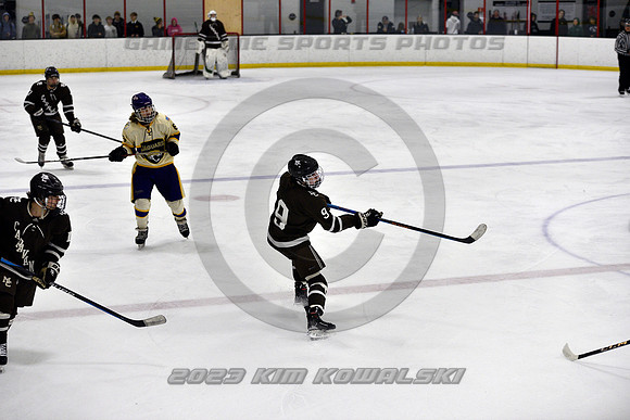 _GSP5228 (Copy)