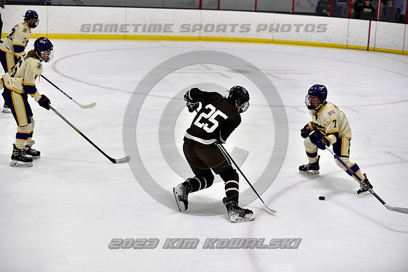 _GSP5285 (Copy)