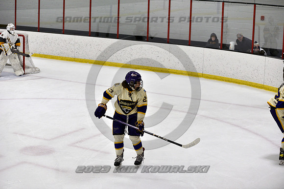 _GSP5234 (Copy)