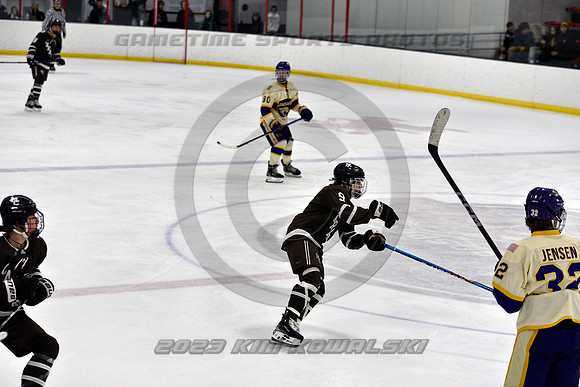 _GSP5195 (Copy)