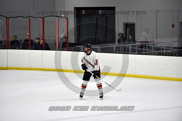 _GSP3727 (Copy)
