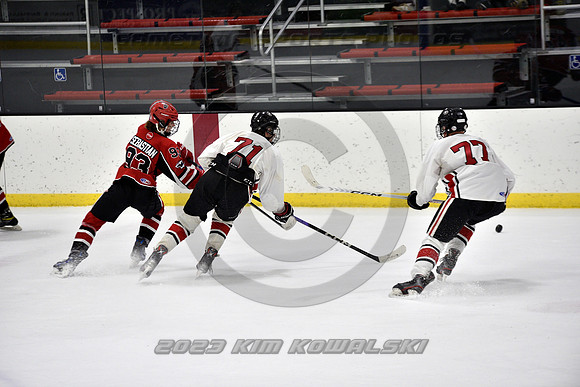 _GSP3931 (Copy)