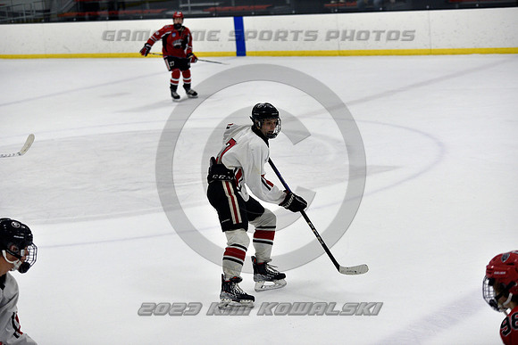_GSP3842 (Copy)