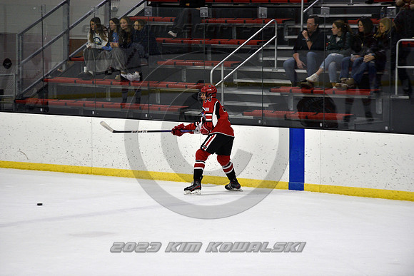 _GSP4043 (Copy)
