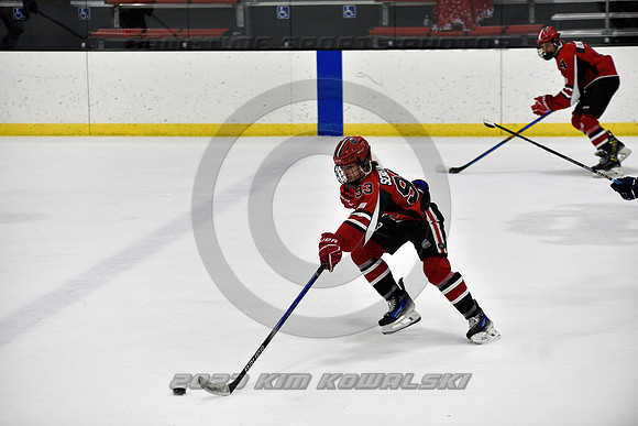 _GSP3938 (Copy)