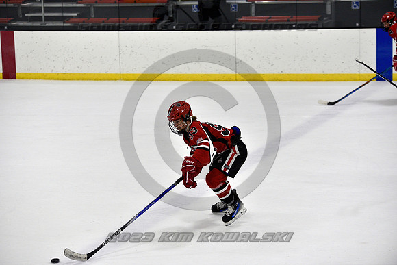 _GSP3939 (Copy)