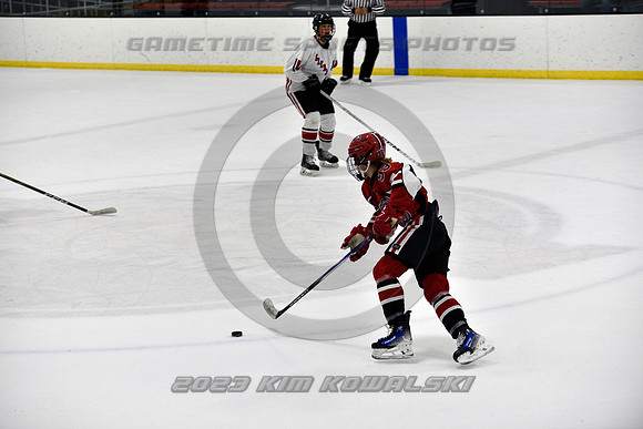 _GSP3941 (Copy)