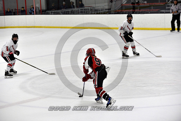 _GSP3942 (Copy)