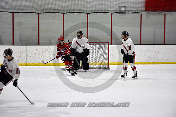 _GSP3943 (Copy)