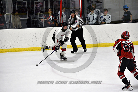 _GSP4061 (Copy)