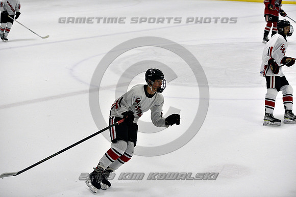 _GSP4271 (Copy)
