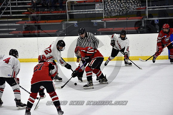 _GSP3963 (Copy)