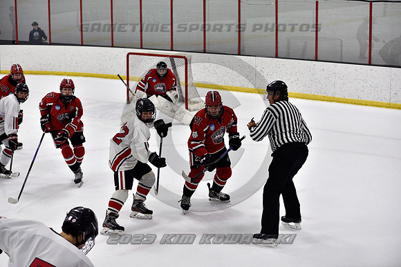 _GSP4077 (Copy)