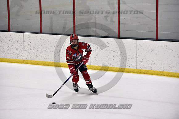 _GSP4273 (Copy)