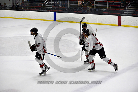_GSP4379 (Copy)