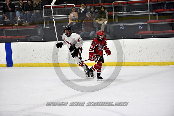 _GSP4280 (Copy)