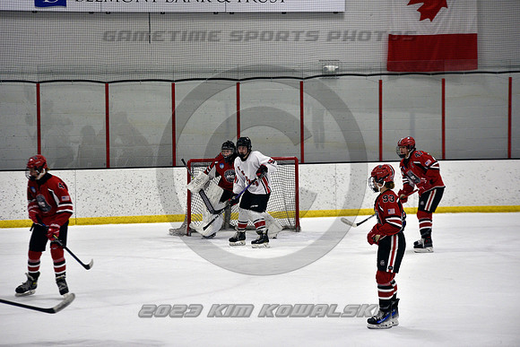 _GSP3796 (Copy)
