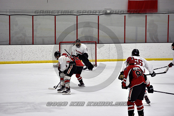 _GSP4295 (Copy)