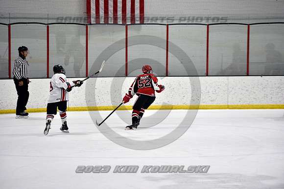 _GSP3696 (Copy)