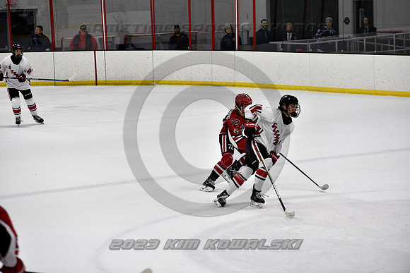 _GSP4196 (Copy)