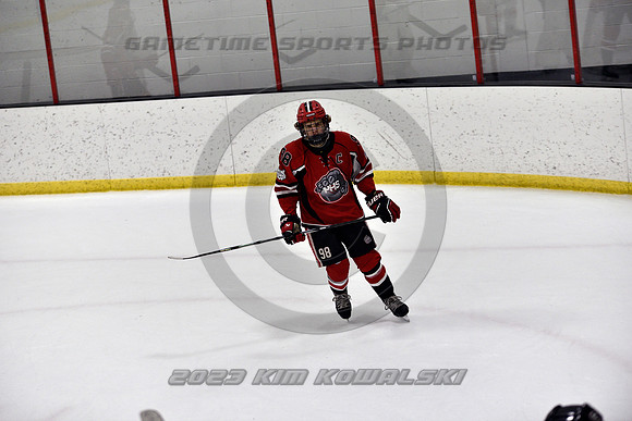 _GSP4207 (Copy)