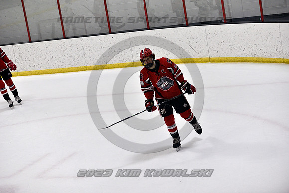 _GSP4208 (Copy)