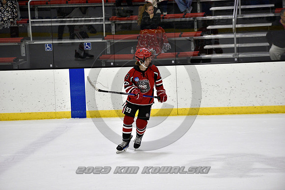 _GSP4319 (Copy)